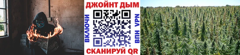 наркошоп  Новосокольники  Бошки марихуана семена 